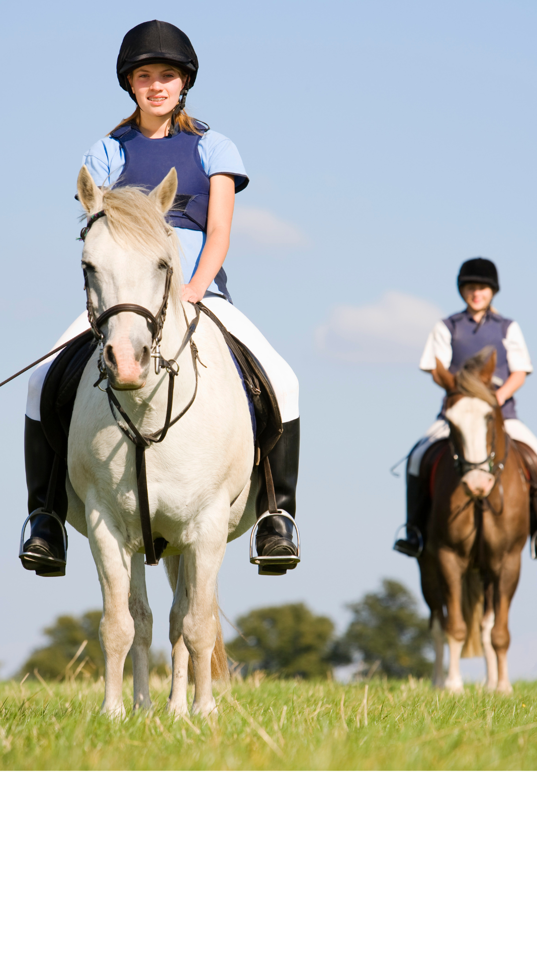 horses, equine therapy, emotional, behavioral, help with kids