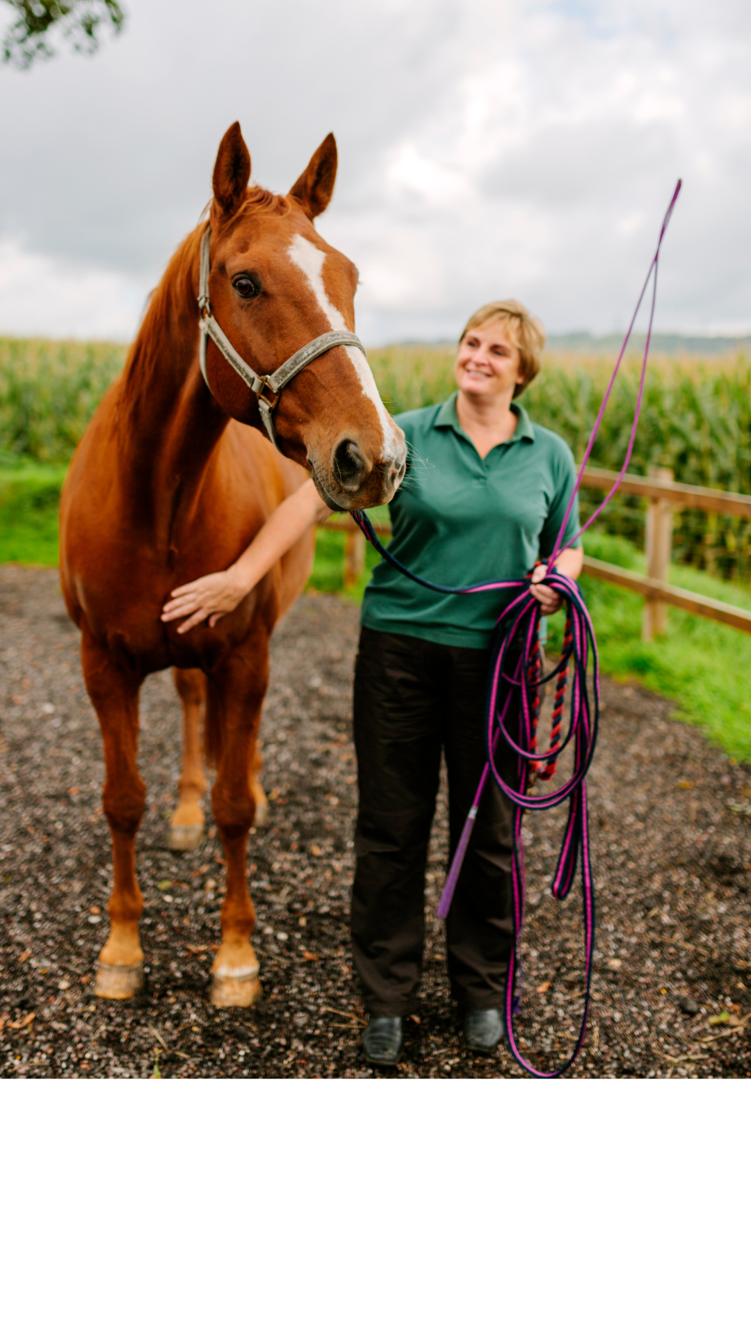 horses, equine therapy, emotional, behavioral, help with kids