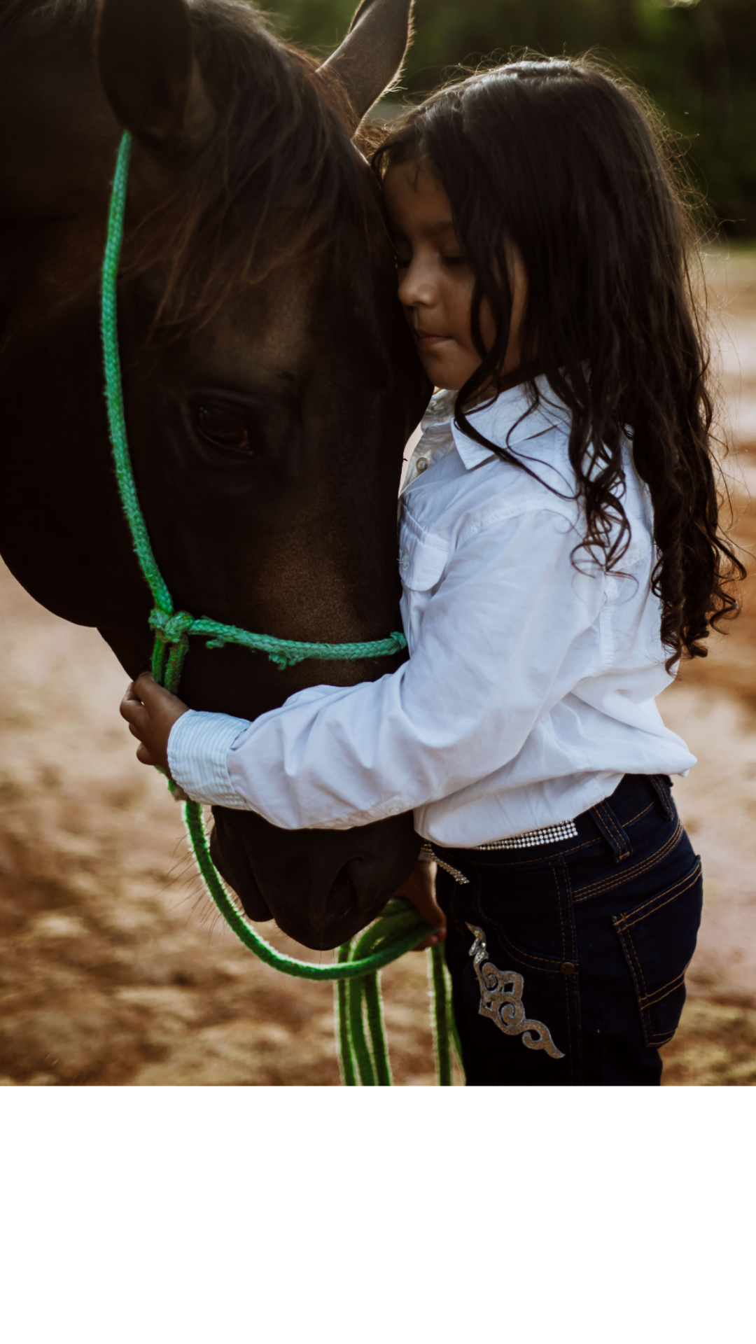 horses, equine therapy, emotional, behavioral, help with kids