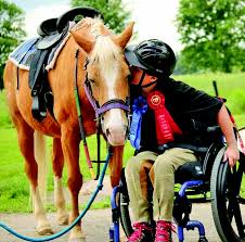 equine therapy, horse riding, horses, therapy 